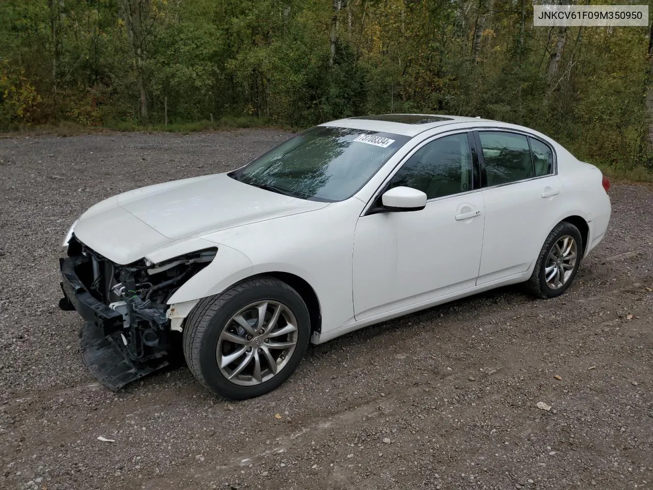 2009 Infiniti G37 VIN: JNKCV61F09M350950 Lot: 73708334