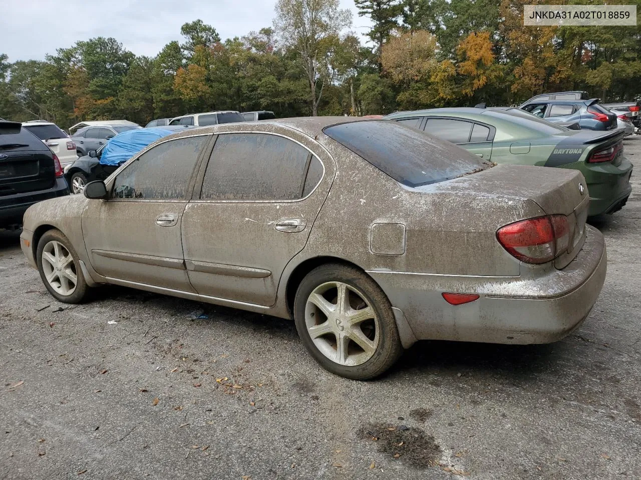 2002 Infiniti I35 VIN: JNKDA31A02T018859 Lot: 77074744