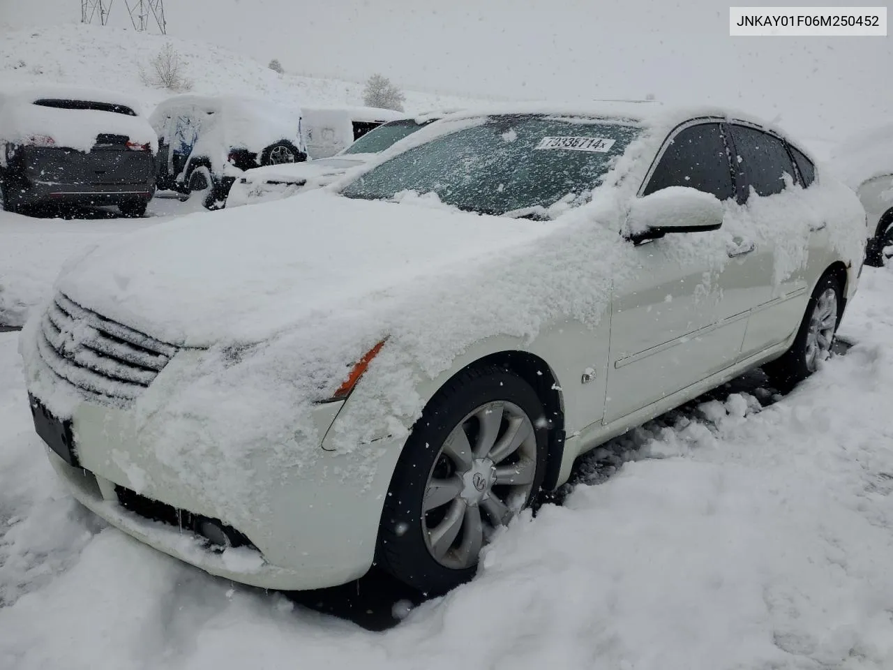 2006 Infiniti M35 Base VIN: JNKAY01F06M250452 Lot: 79338714