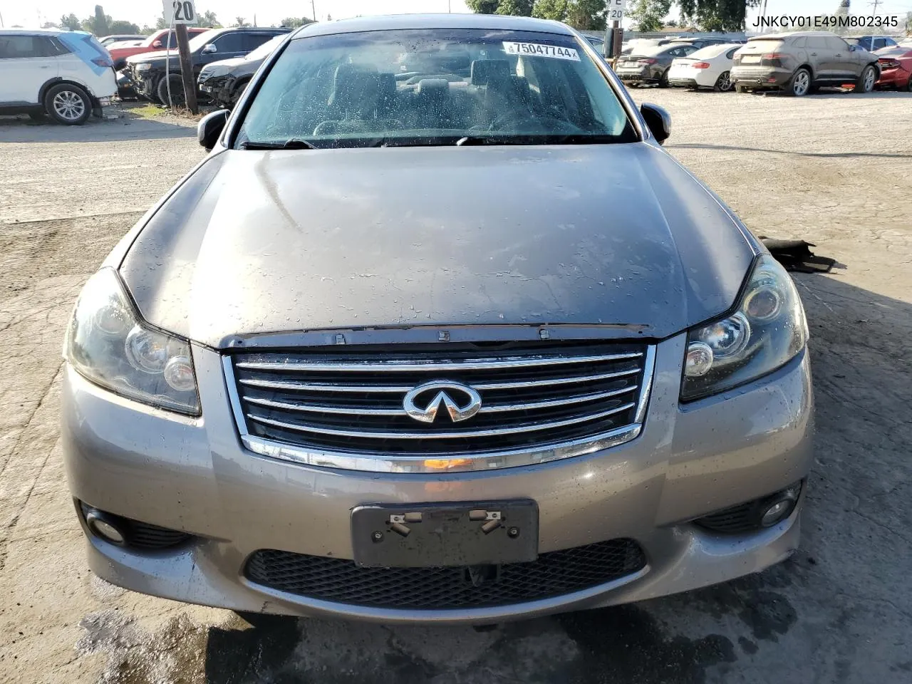 2009 Infiniti M35 Base VIN: JNKCY01E49M802345 Lot: 75047744