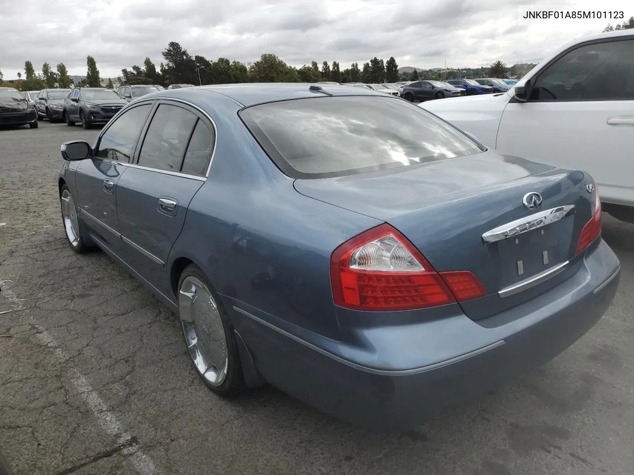 2005 Infiniti Q45 VIN: JNKBF01A85M101123 Lot: 72220124