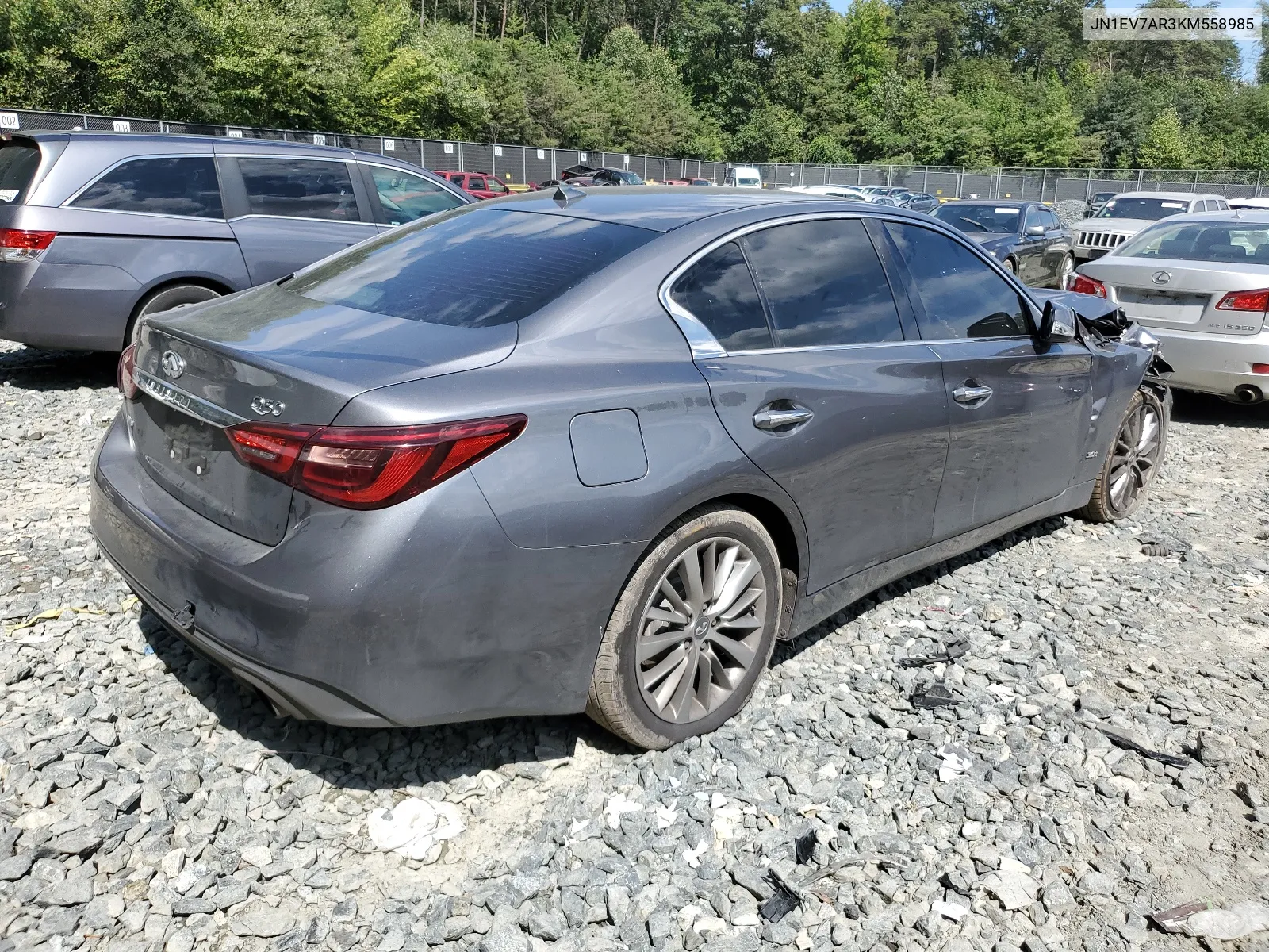 2019 Infiniti Q50 Luxe VIN: JN1EV7AR3KM558985 Lot: 67101534