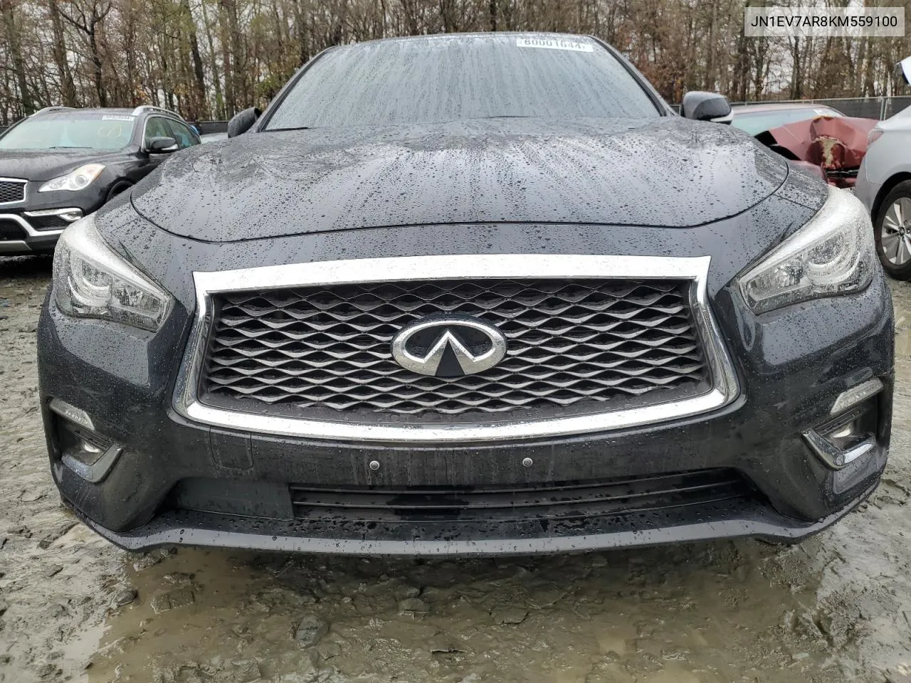 2019 Infiniti Q50 Luxe VIN: JN1EV7AR8KM559100 Lot: 80001644