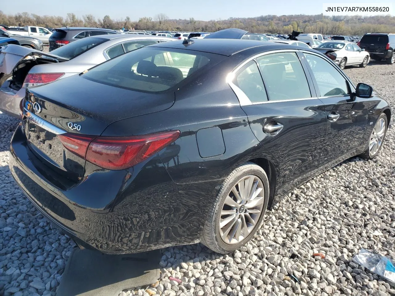 2019 Infiniti Q50 Luxe VIN: JN1EV7AR7KM558620 Lot: 80697754