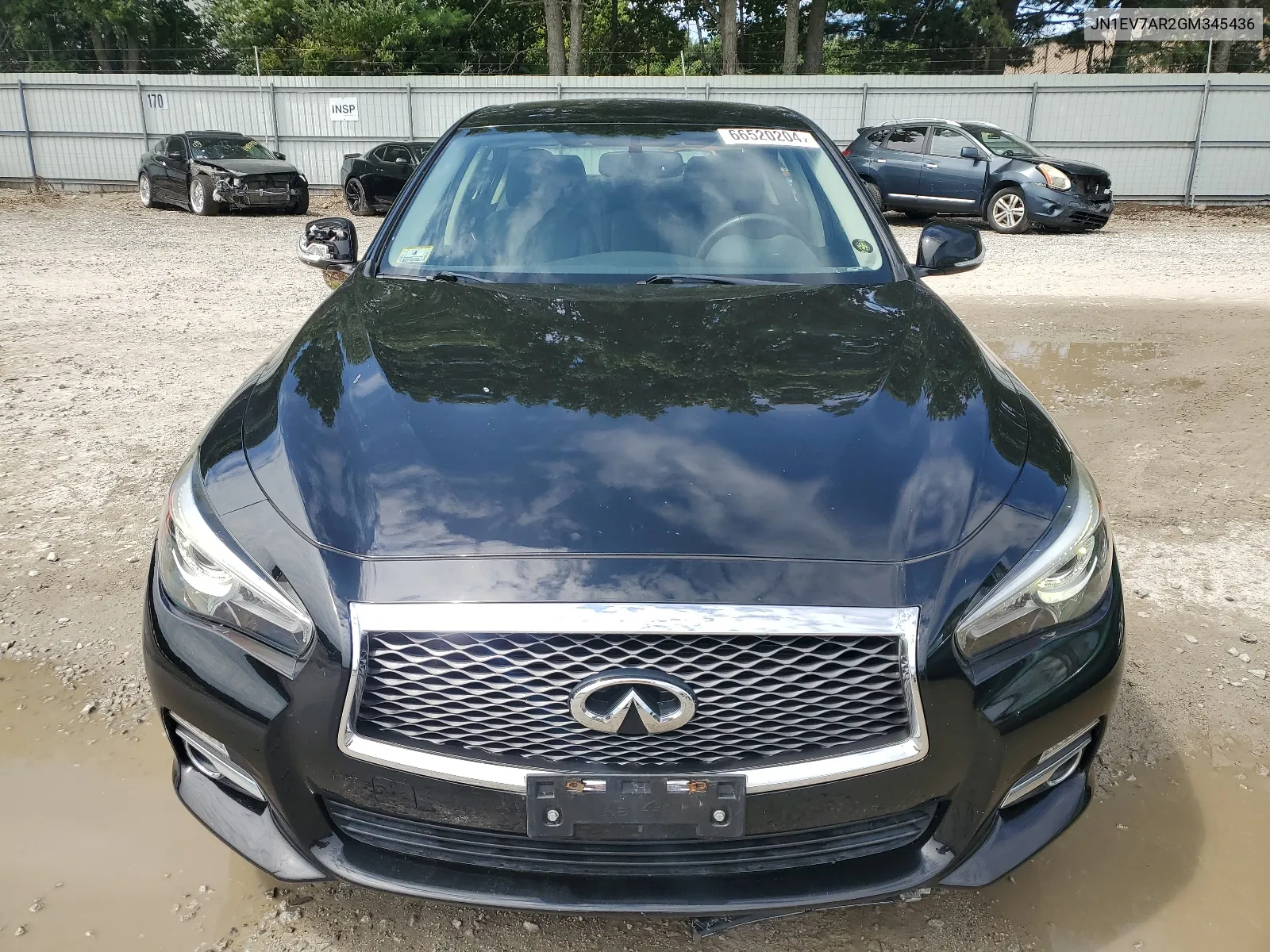 2016 Infiniti Q50 Premium VIN: JN1EV7AR2GM345436 Lot: 66520204