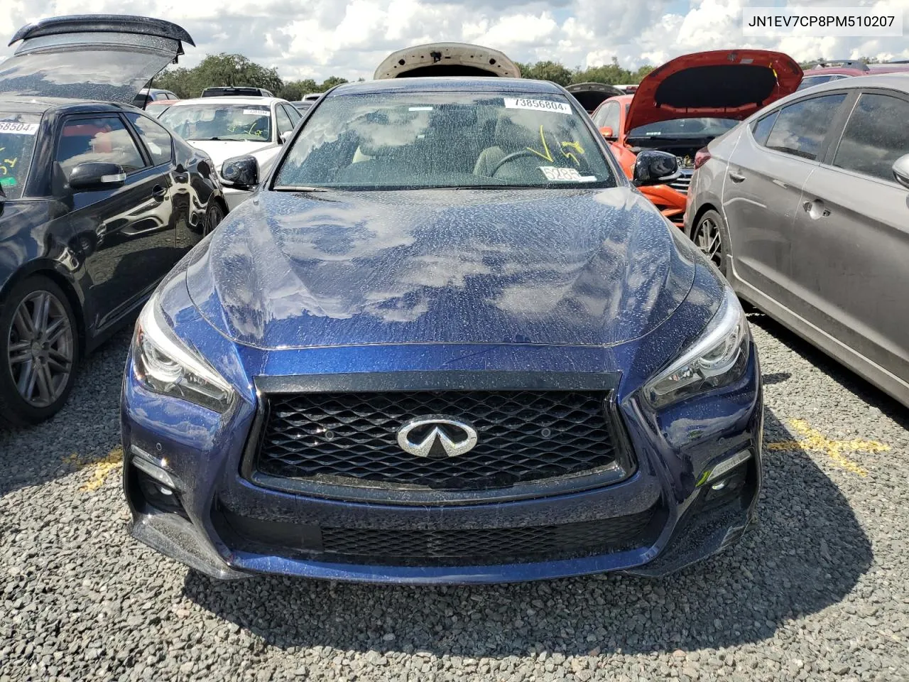 2023 Infiniti Q50 Sensory VIN: JN1EV7CP8PM510207 Lot: 73856804