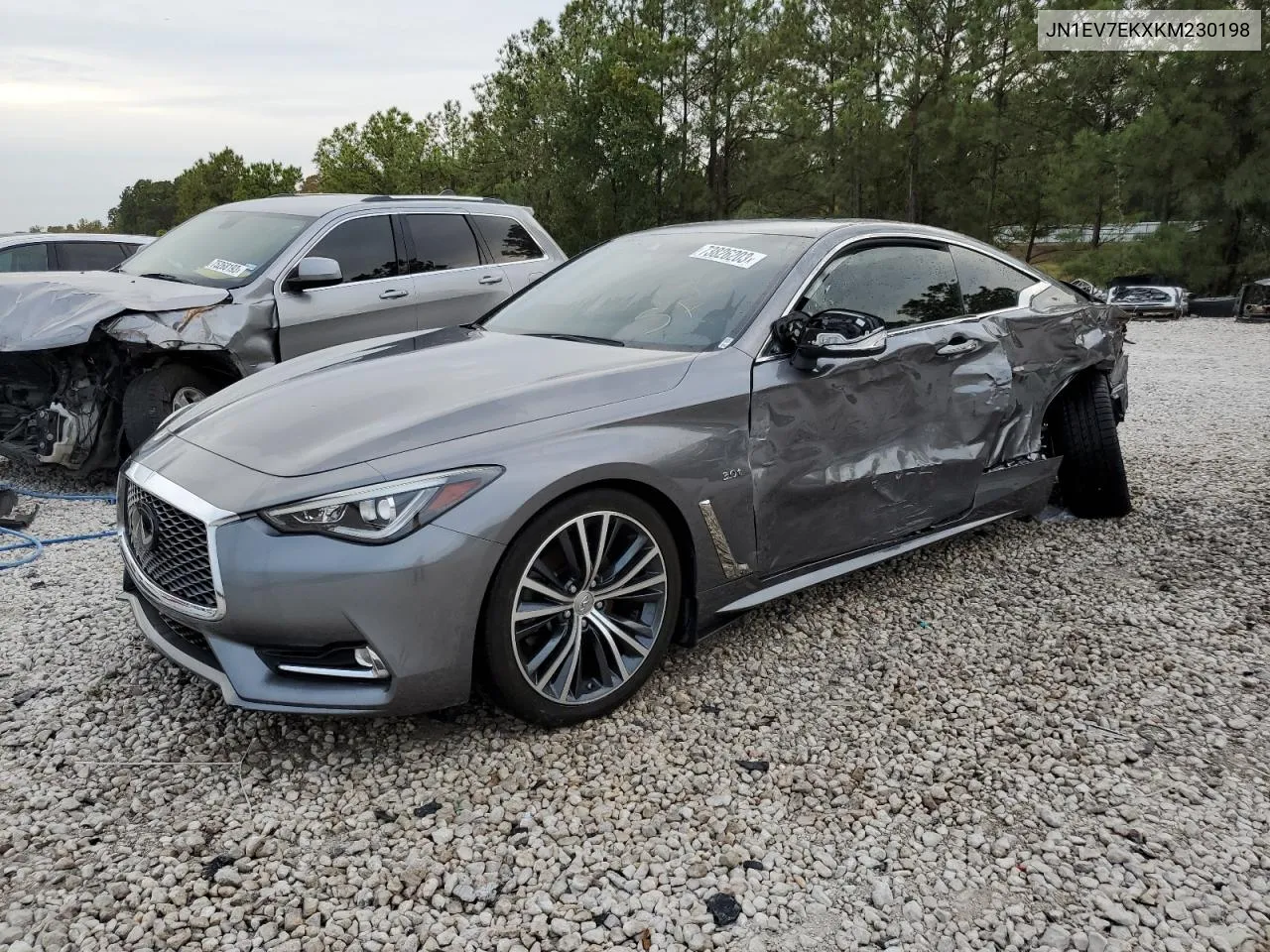 2019 Infiniti Q60 Pure VIN: JN1EV7EKXKM230198 Lot: 73826203