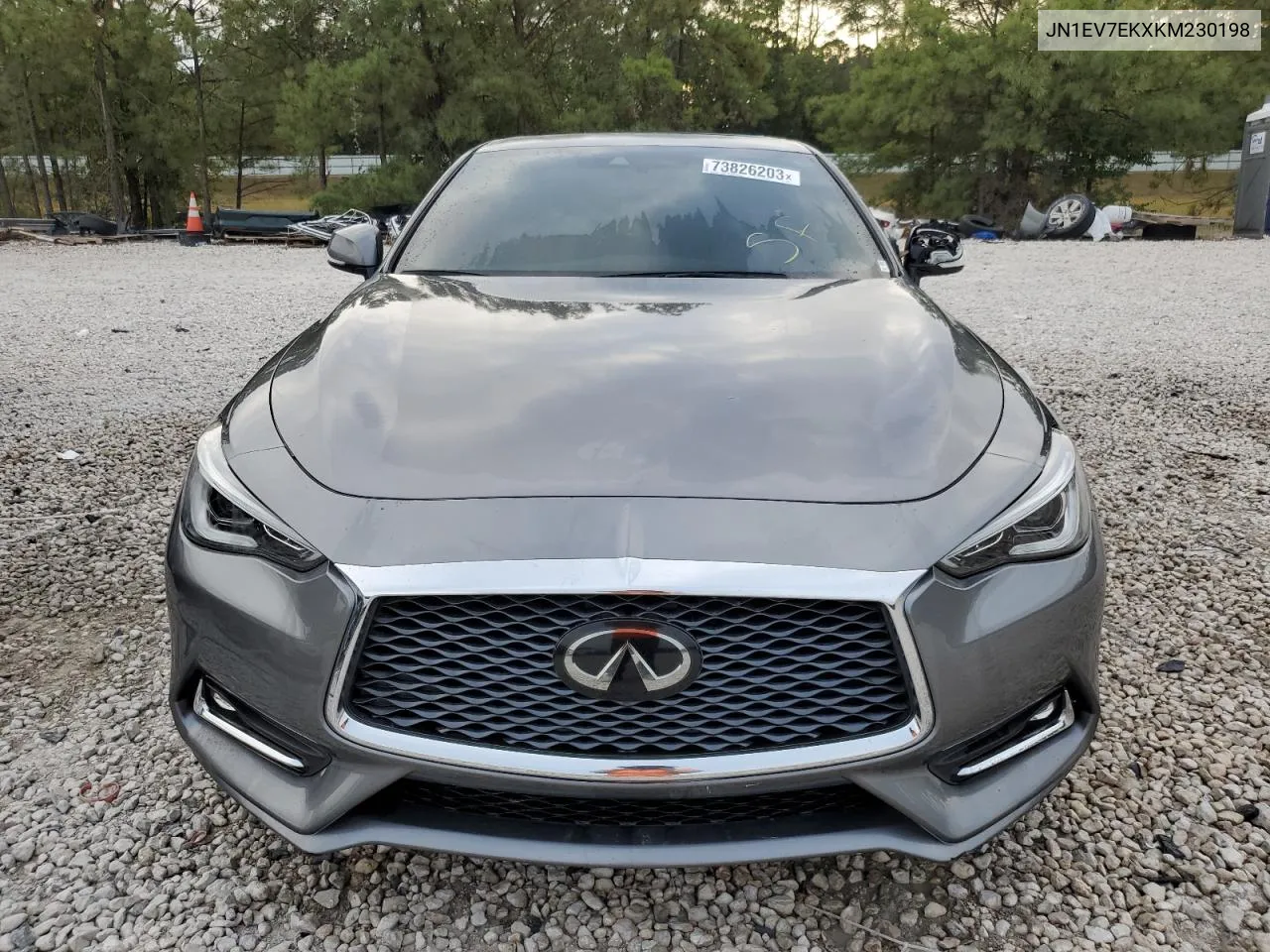 2019 Infiniti Q60 Pure VIN: JN1EV7EKXKM230198 Lot: 73826203