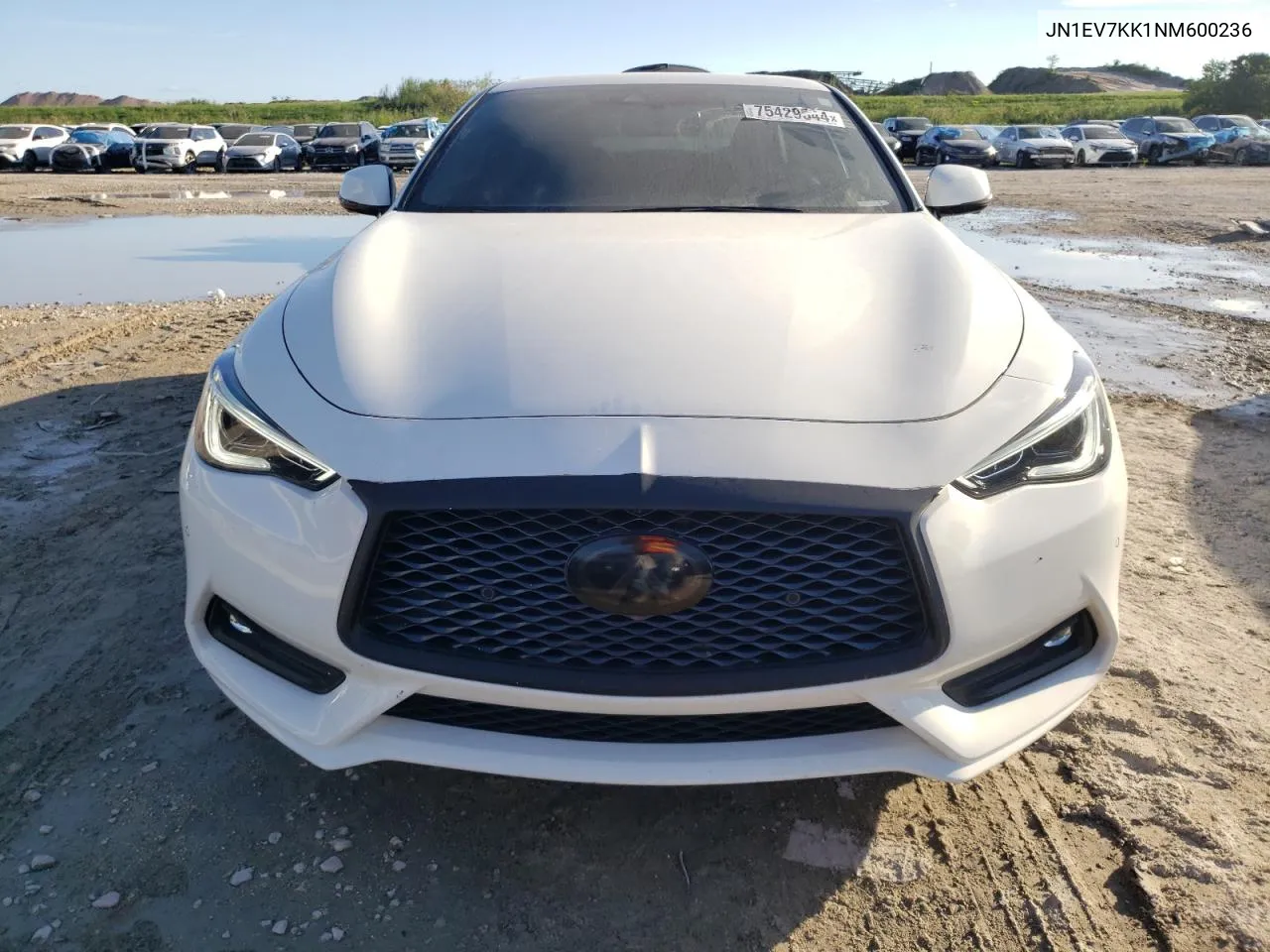 2022 Infiniti Q60 Luxe VIN: JN1EV7KK1NM600236 Lot: 75429544