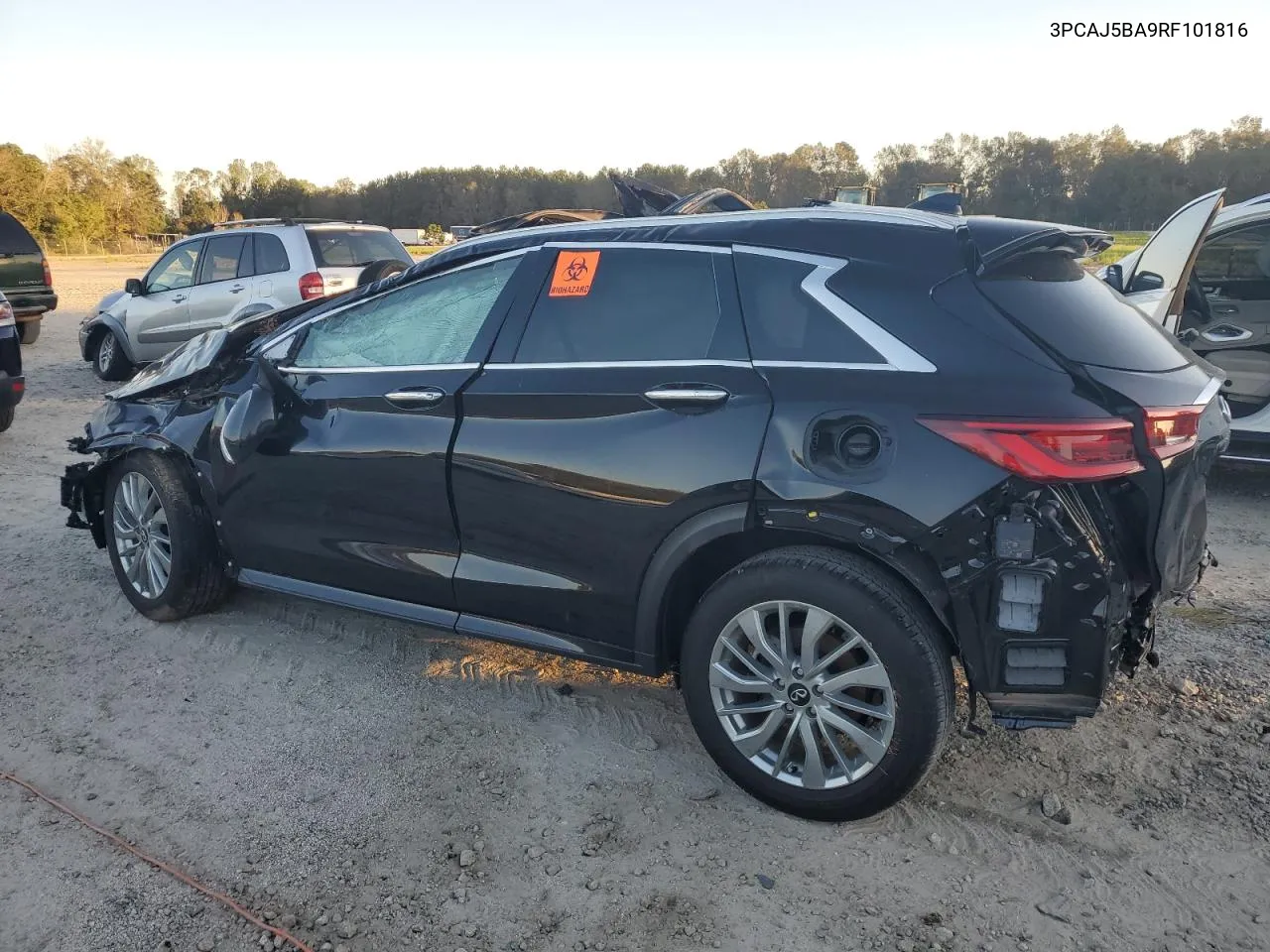 2024 Infiniti Qx50 Luxe VIN: 3PCAJ5BA9RF101816 Lot: 74176634