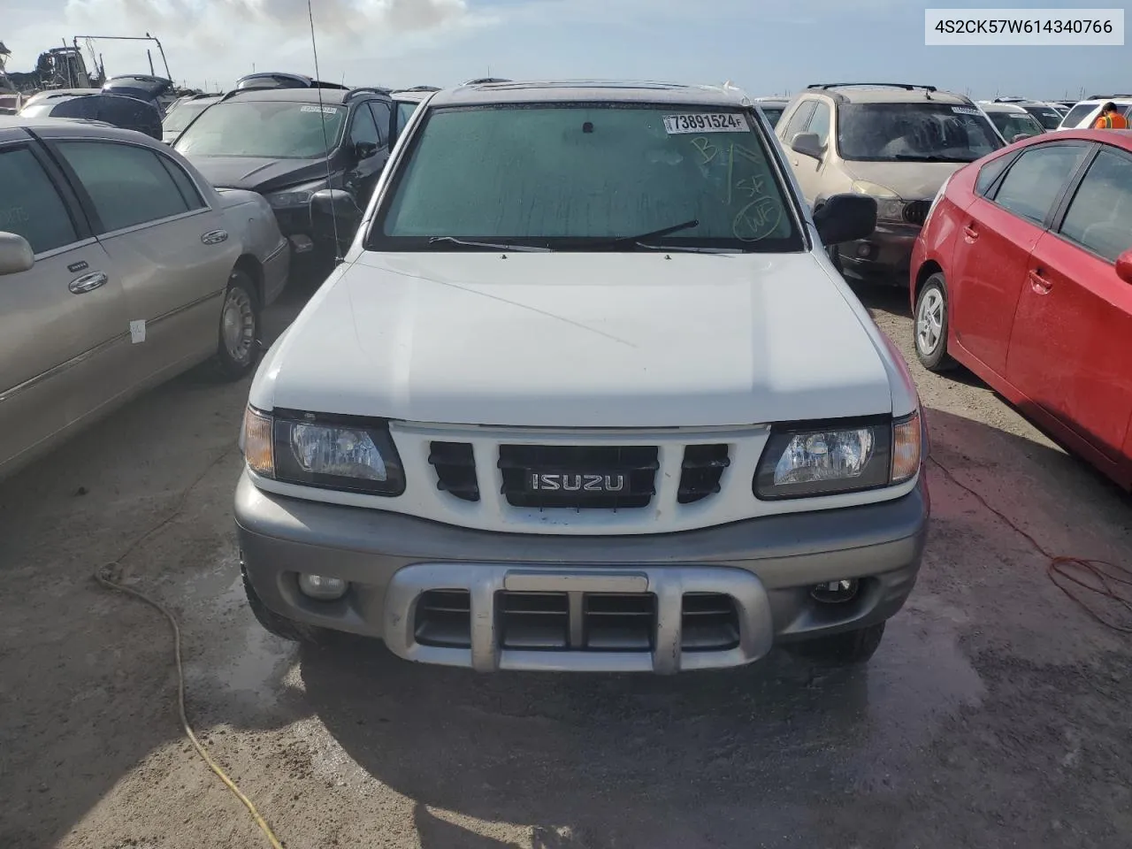 2001 Isuzu Rodeo Sport VIN: 4S2CK57W614340766 Lot: 73891524