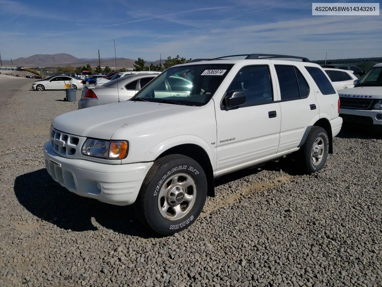 2001 Isuzu Rodeo S VIN: 4S2DM58W614343261 Lot: 75365974