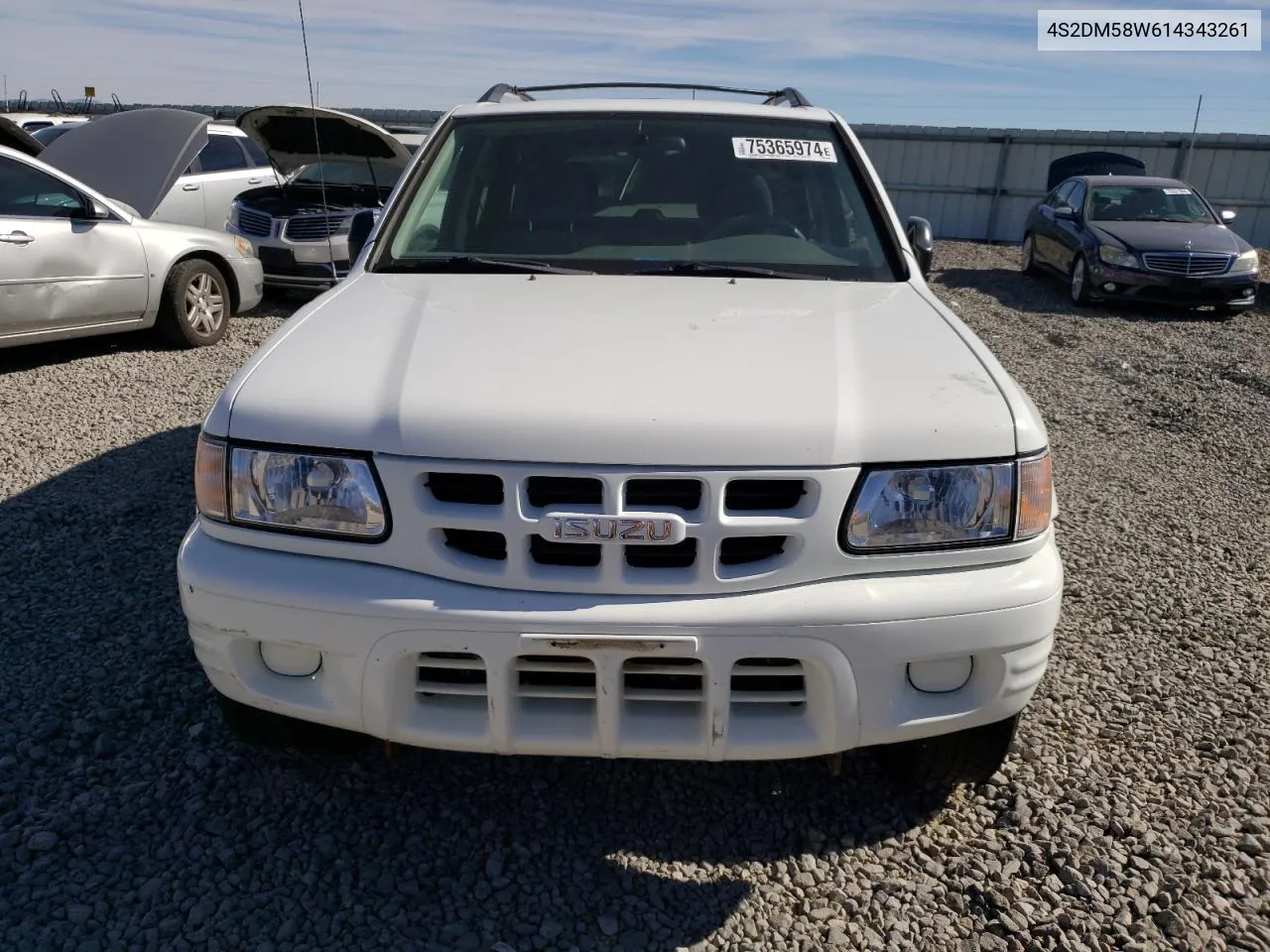 2001 Isuzu Rodeo S VIN: 4S2DM58W614343261 Lot: 75365974