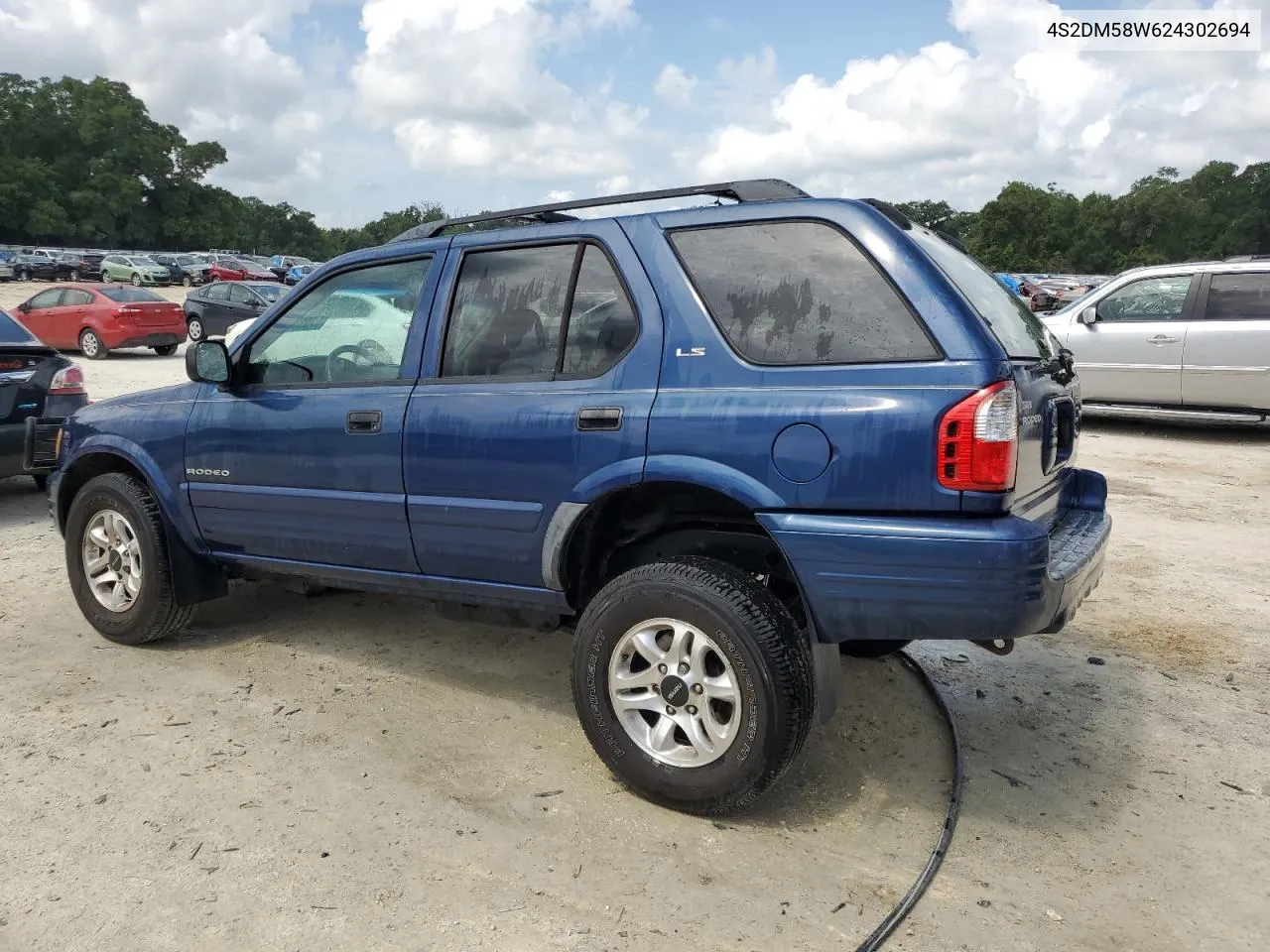 2002 Isuzu Rodeo S VIN: 4S2DM58W624302694 Lot: 67593944