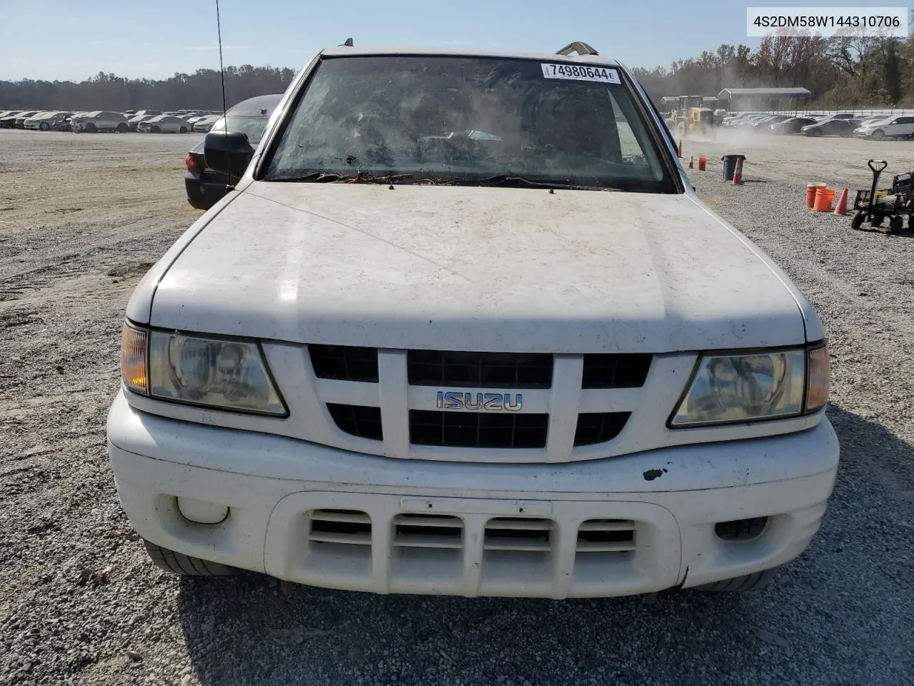 2004 Isuzu Rodeo S VIN: 4S2DM58W144310706 Lot: 74980644