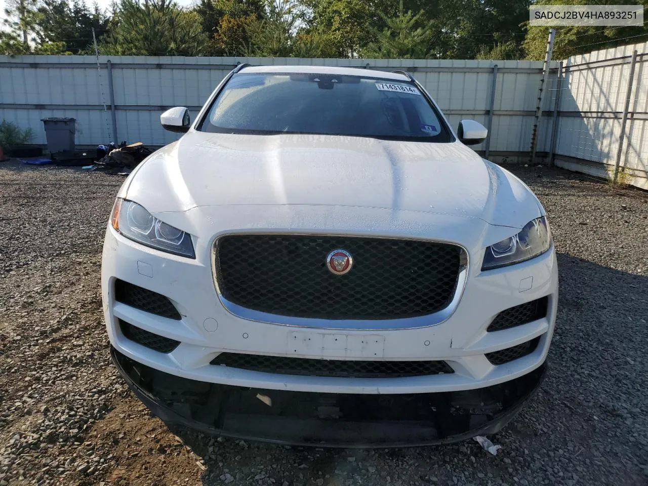 2017 Jaguar F-Pace Premium VIN: SADCJ2BV4HA893251 Lot: 71431814