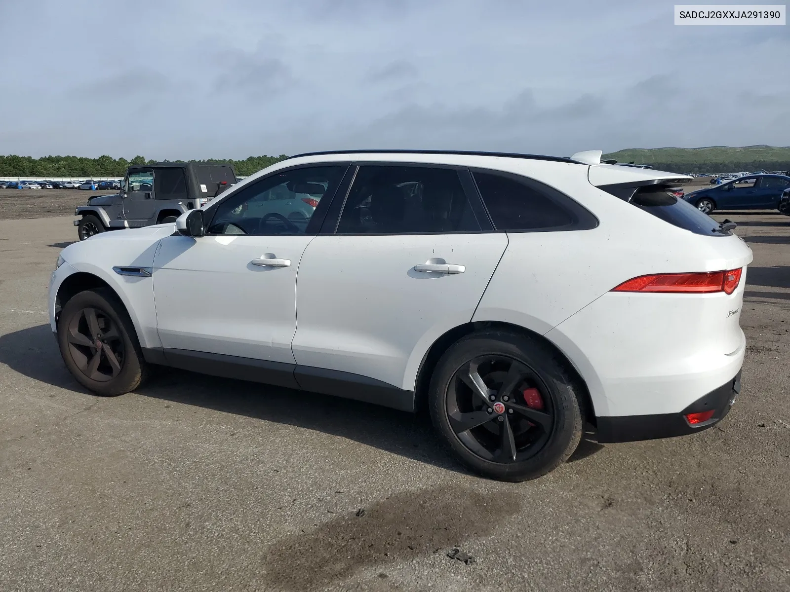 2018 Jaguar F-Pace Premium VIN: SADCJ2GXXJA291390 Lot: 66744194