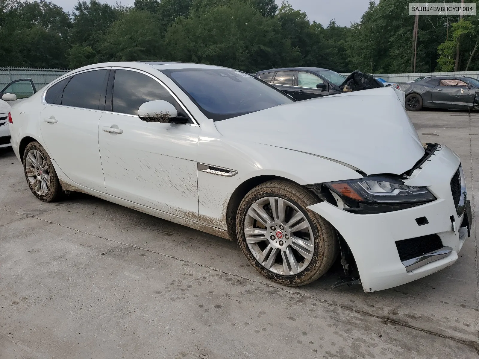 2017 Jaguar Xf Premium VIN: SAJBJ4BV8HCY31084 Lot: 67027094