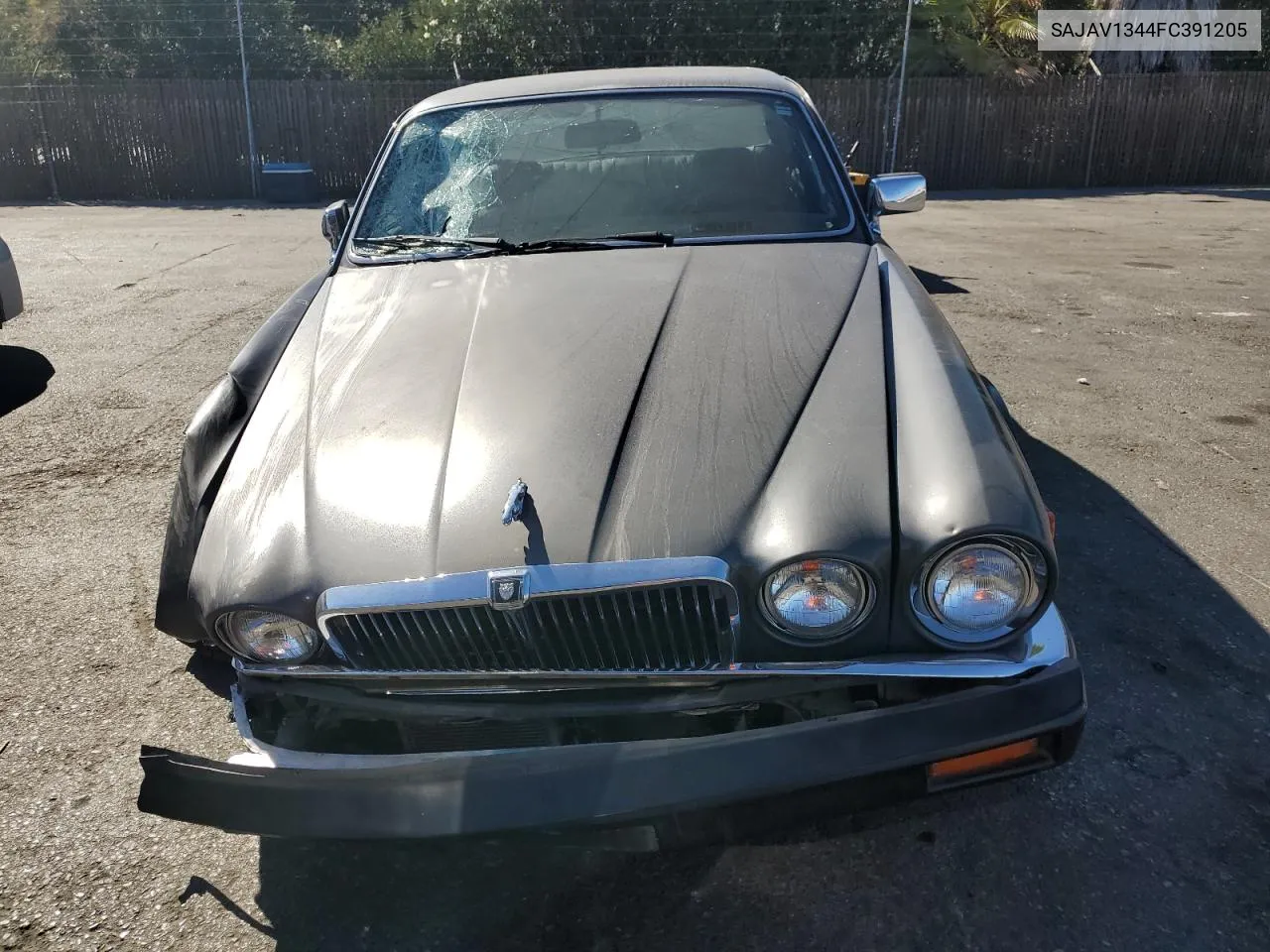 1985 Jaguar Xj6 VIN: SAJAV1344FC391205 Lot: 77213414