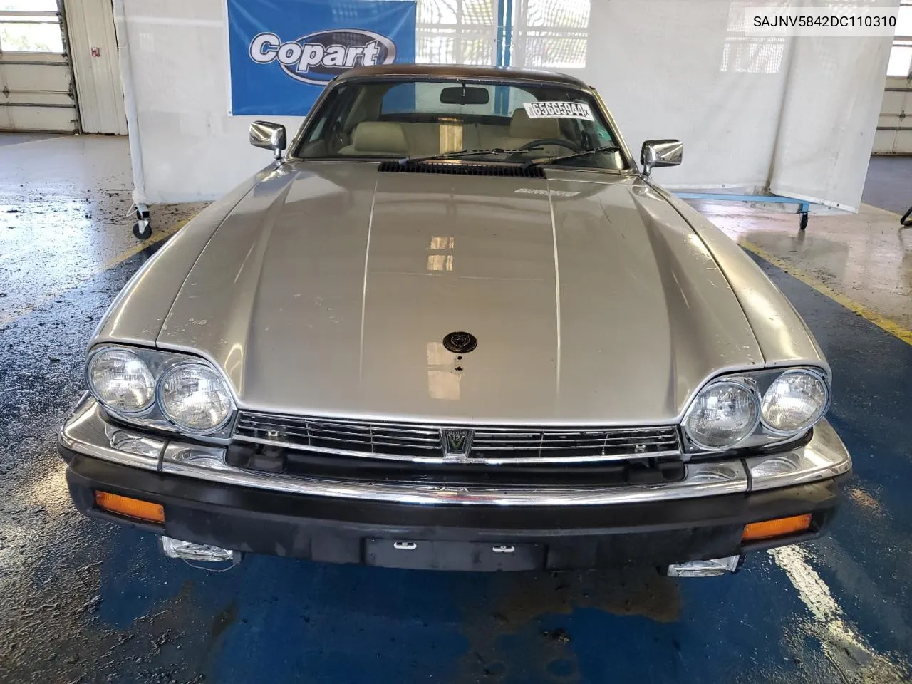 1983 Jaguar Xjs VIN: SAJNV5842DC110310 Lot: 65665944