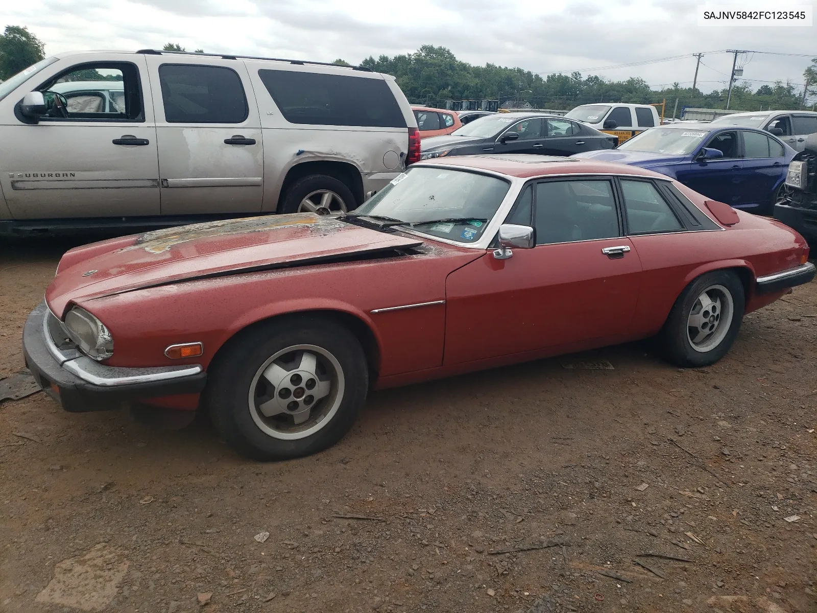 1985 Jaguar Xjs VIN: SAJNV5842FC123545 Lot: 62013814