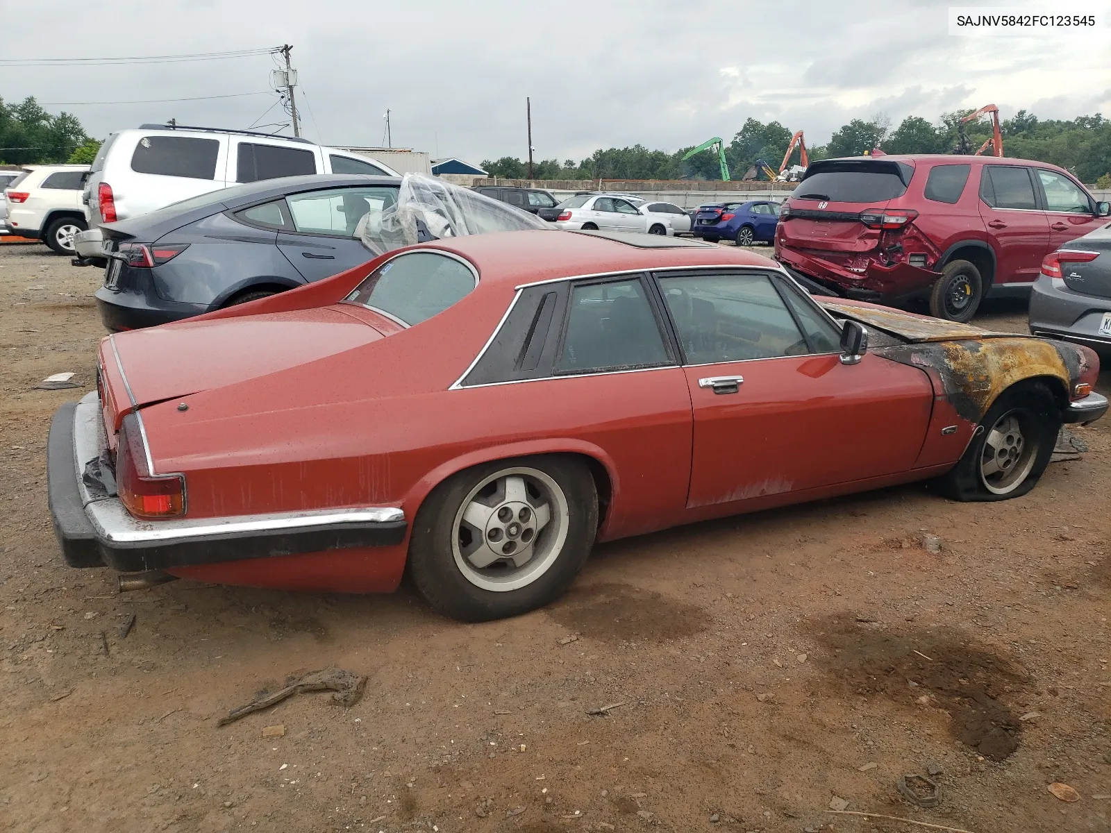 1985 Jaguar Xjs VIN: SAJNV5842FC123545 Lot: 62013814