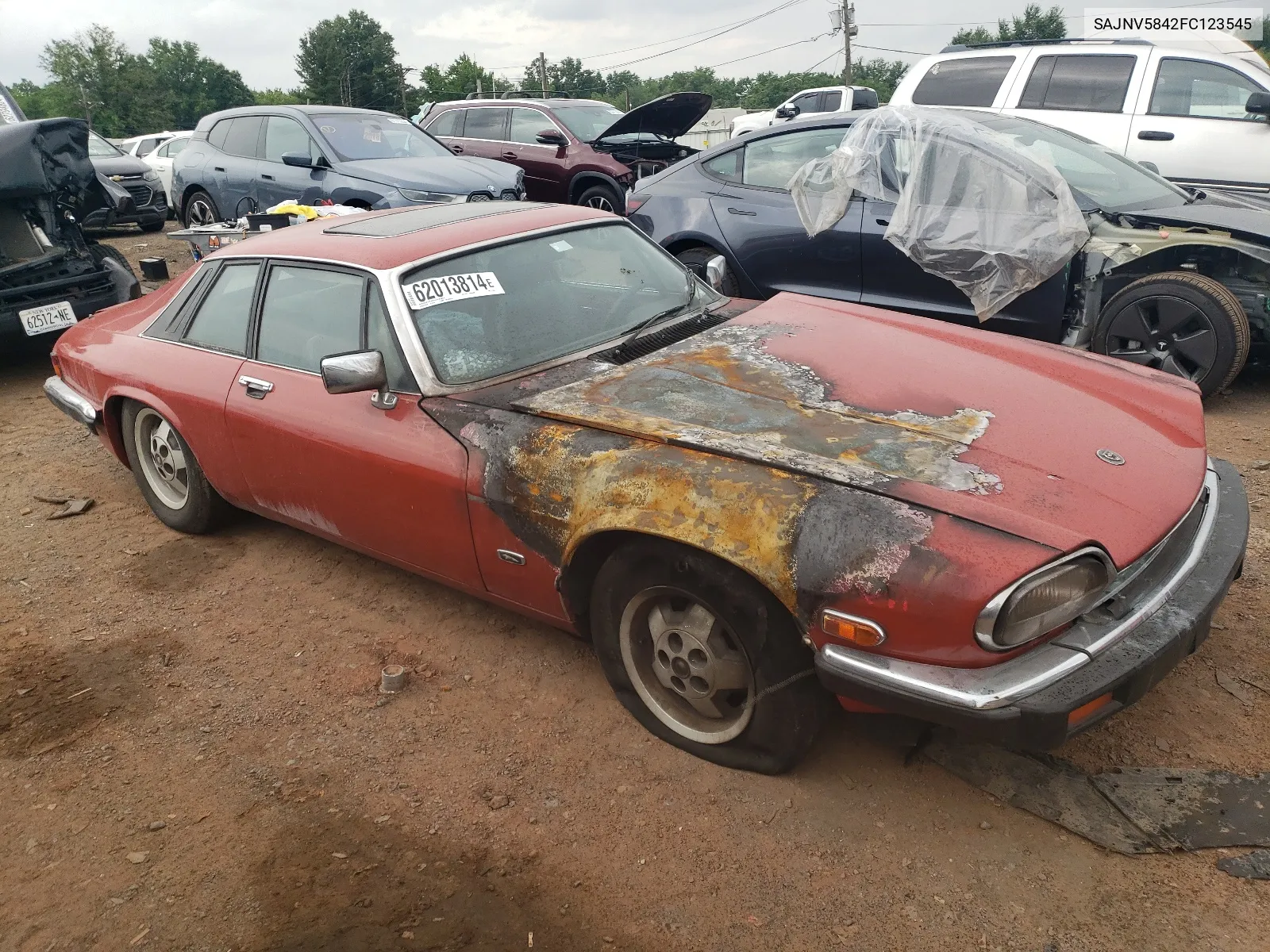 1985 Jaguar Xjs VIN: SAJNV5842FC123545 Lot: 62013814