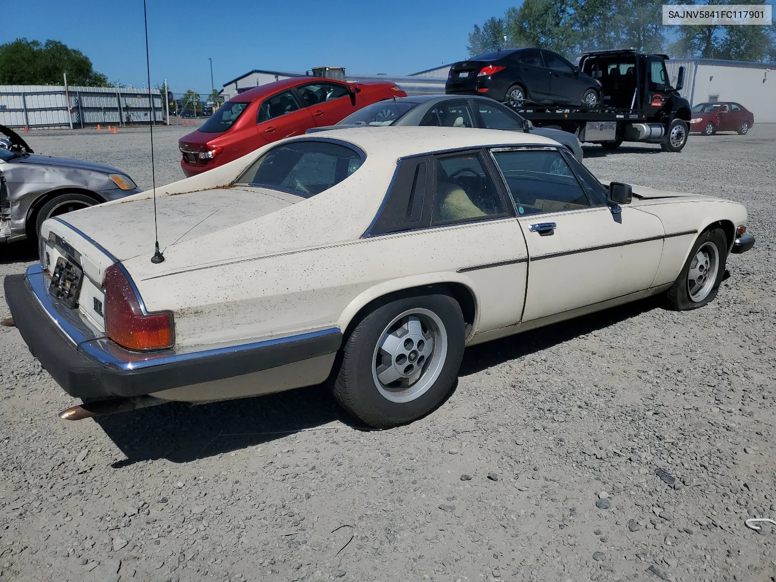 1985 Jaguar Xjs VIN: SAJNV5841FC117901 Lot: 62151474