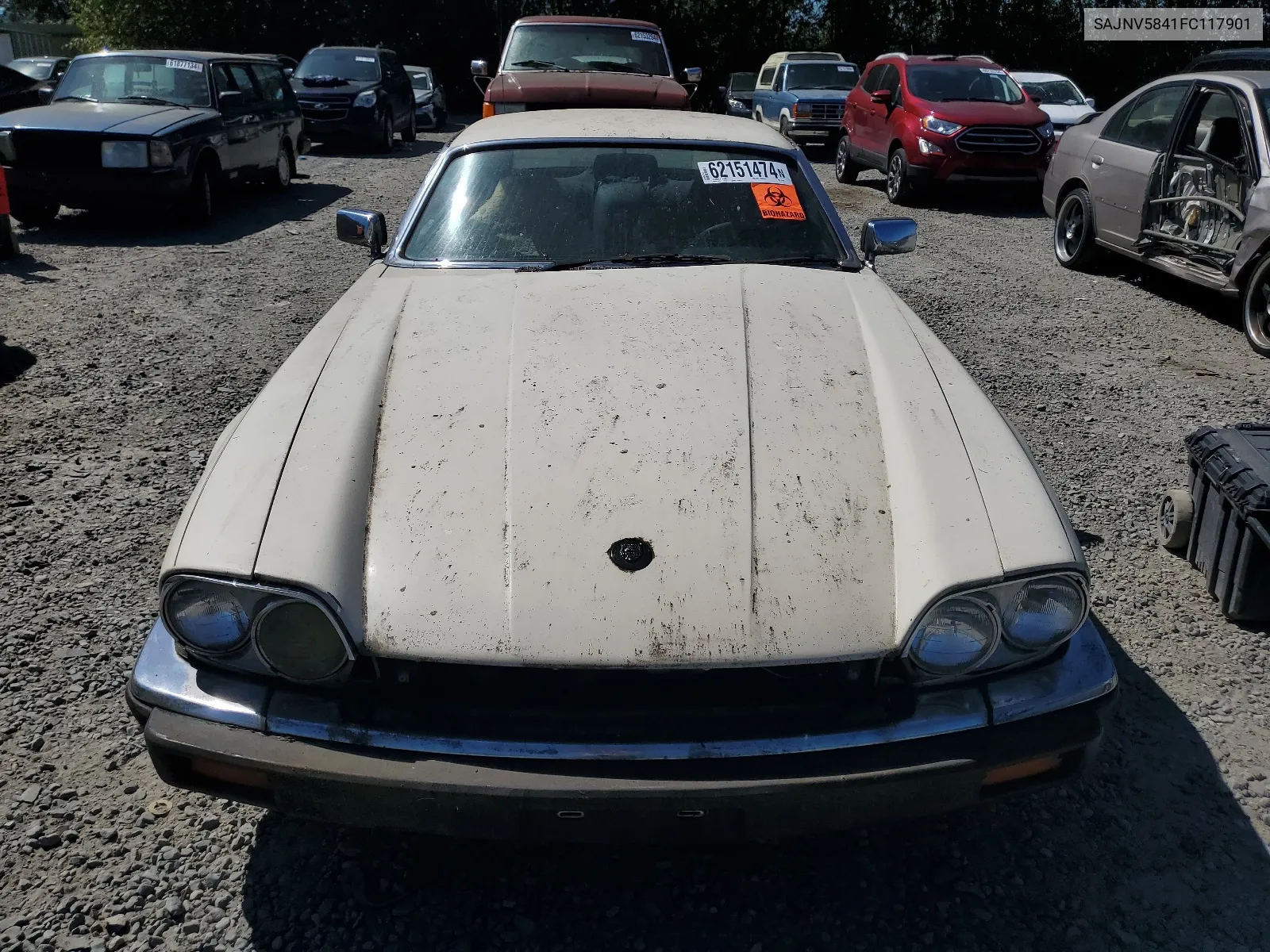 SAJNV5841FC117901 1985 Jaguar Xjs