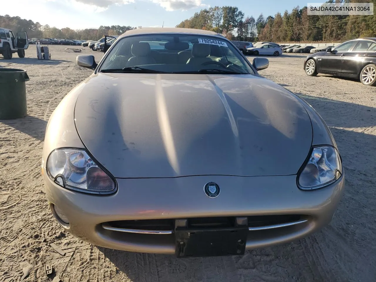 2001 Jaguar Xk8 VIN: SAJDA42C41NA13064 Lot: 79254244