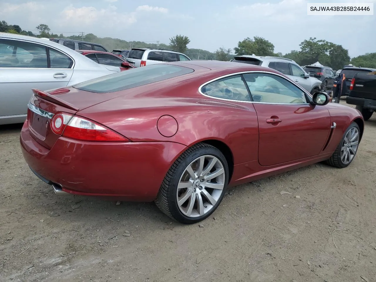 2008 Jaguar Xk VIN: SAJWA43B285B24446 Lot: 70429864