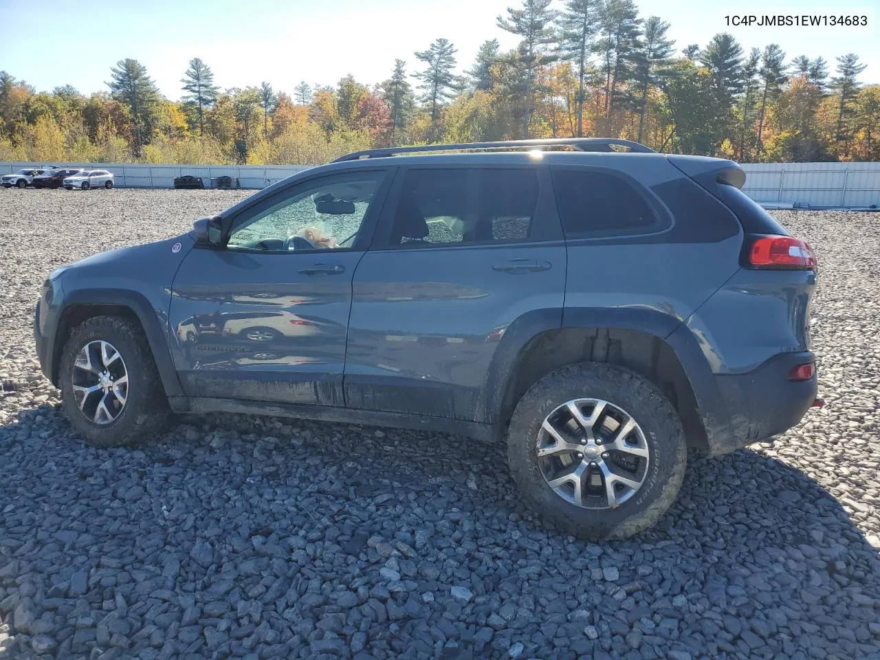 2014 Jeep Cherokee Trailhawk VIN: 1C4PJMBS1EW134683 Lot: 76377954