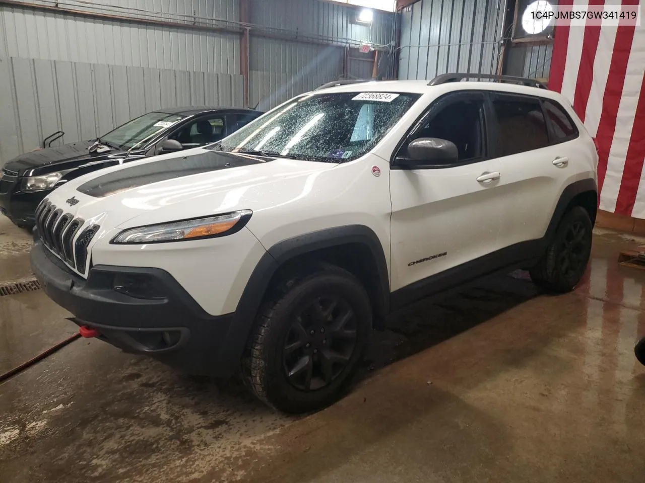 2016 Jeep Cherokee Trailhawk VIN: 1C4PJMBS7GW341419 Lot: 72368824