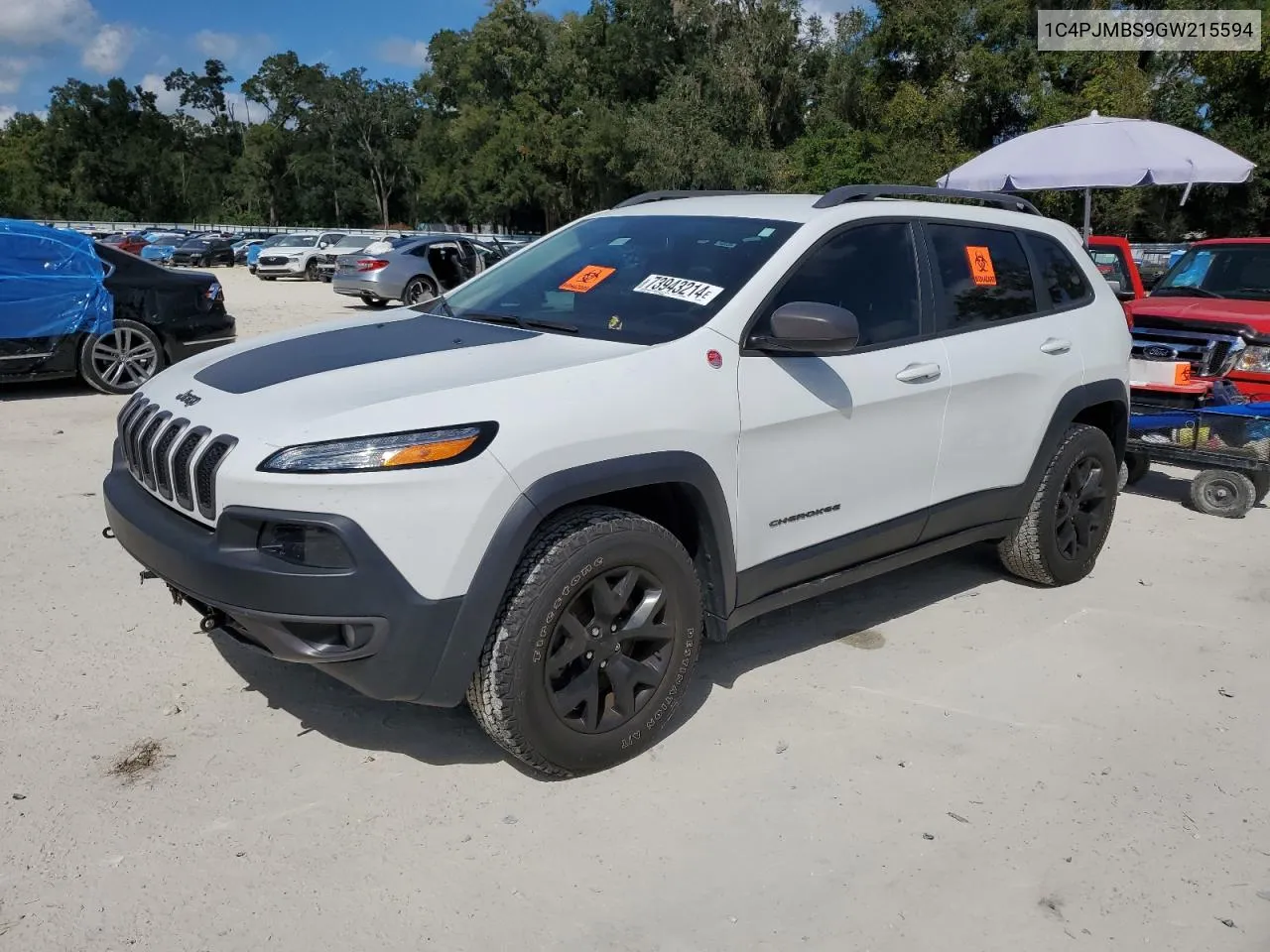 2016 Jeep Cherokee Trailhawk VIN: 1C4PJMBS9GW215594 Lot: 73943214