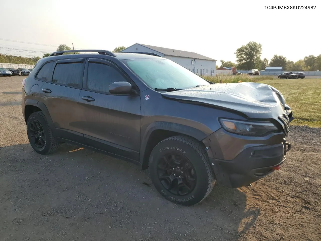 2019 Jeep Cherokee Trailhawk VIN: 1C4PJMBX8KD224982 Lot: 69638854