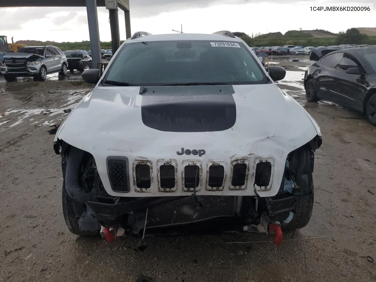 2019 Jeep Cherokee Trailhawk VIN: 1C4PJMBX6KD200096 Lot: 73291634