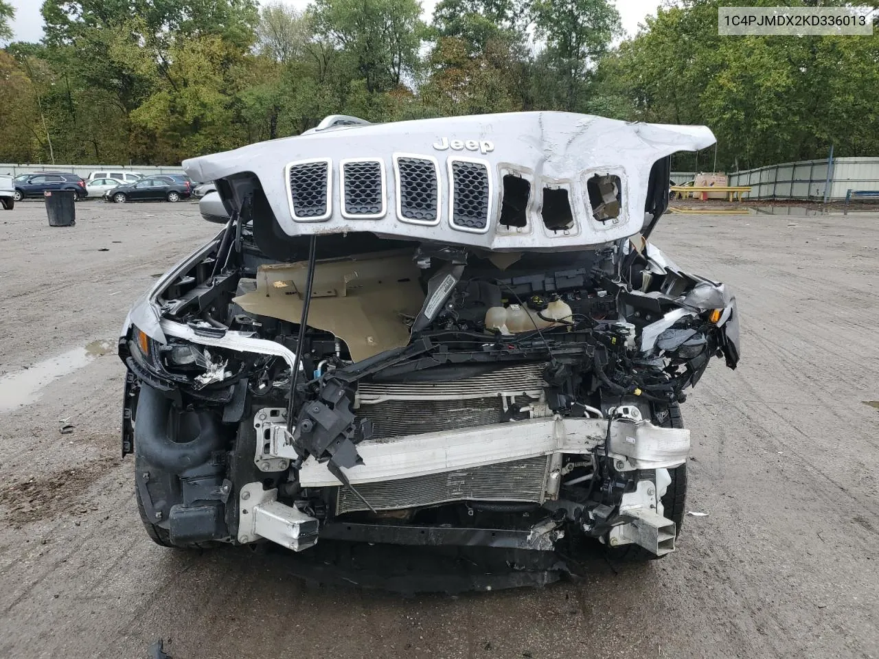 2019 Jeep Cherokee Limited VIN: 1C4PJMDX2KD336013 Lot: 73743484