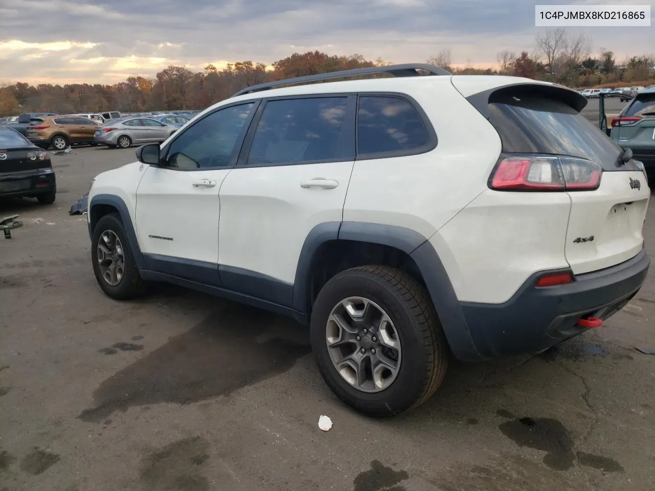 2019 Jeep Cherokee Trailhawk VIN: 1C4PJMBX8KD216865 Lot: 77743224