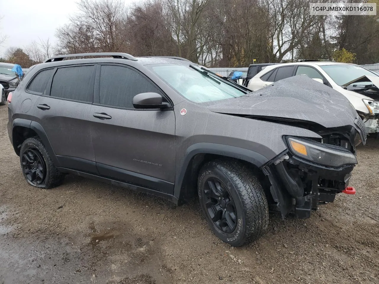 2019 Jeep Cherokee Trailhawk VIN: 1C4PJMBX0KD116078 Lot: 80446294