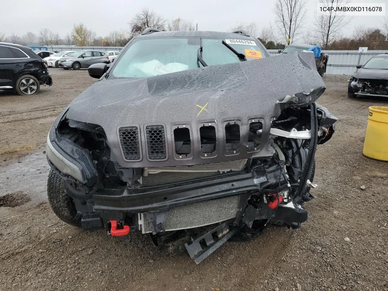 2019 Jeep Cherokee Trailhawk VIN: 1C4PJMBX0KD116078 Lot: 80446294