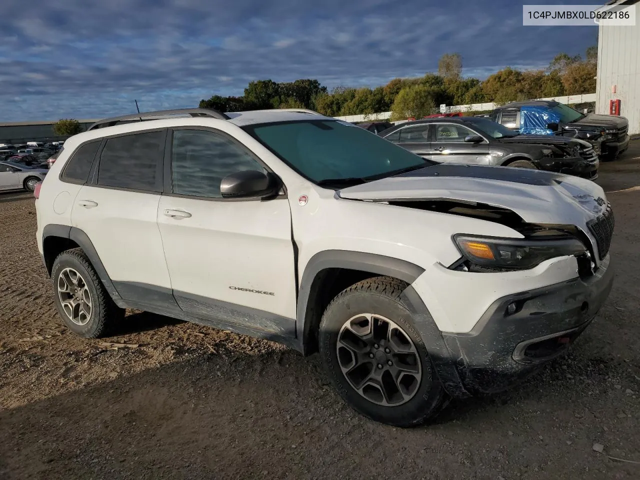 2020 Jeep Cherokee Trailhawk VIN: 1C4PJMBX0LD622186 Lot: 75169754