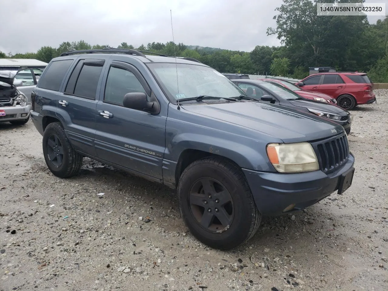 2000 Jeep Grand Cherokee Limited VIN: 1J4GW58N1YC423250 Lot: 66063944