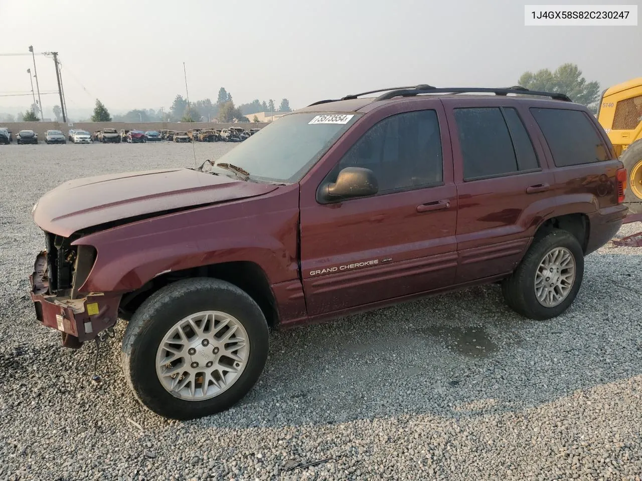 2002 Jeep Grand Cherokee Limited VIN: 1J4GX58S82C230247 Lot: 73573554