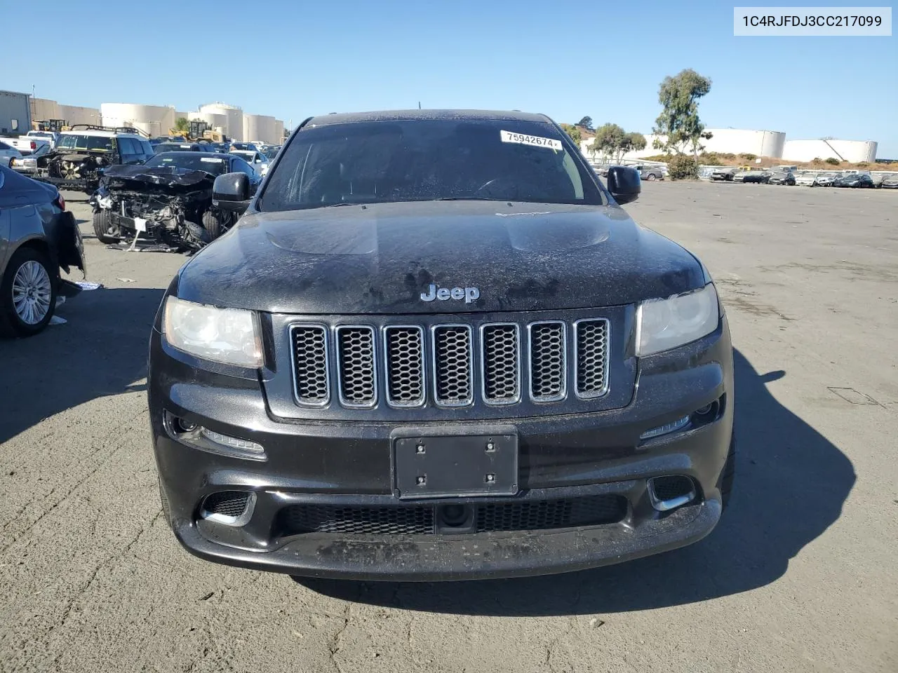 2012 Jeep Grand Cherokee Srt-8 VIN: 1C4RJFDJ3CC217099 Lot: 75942674