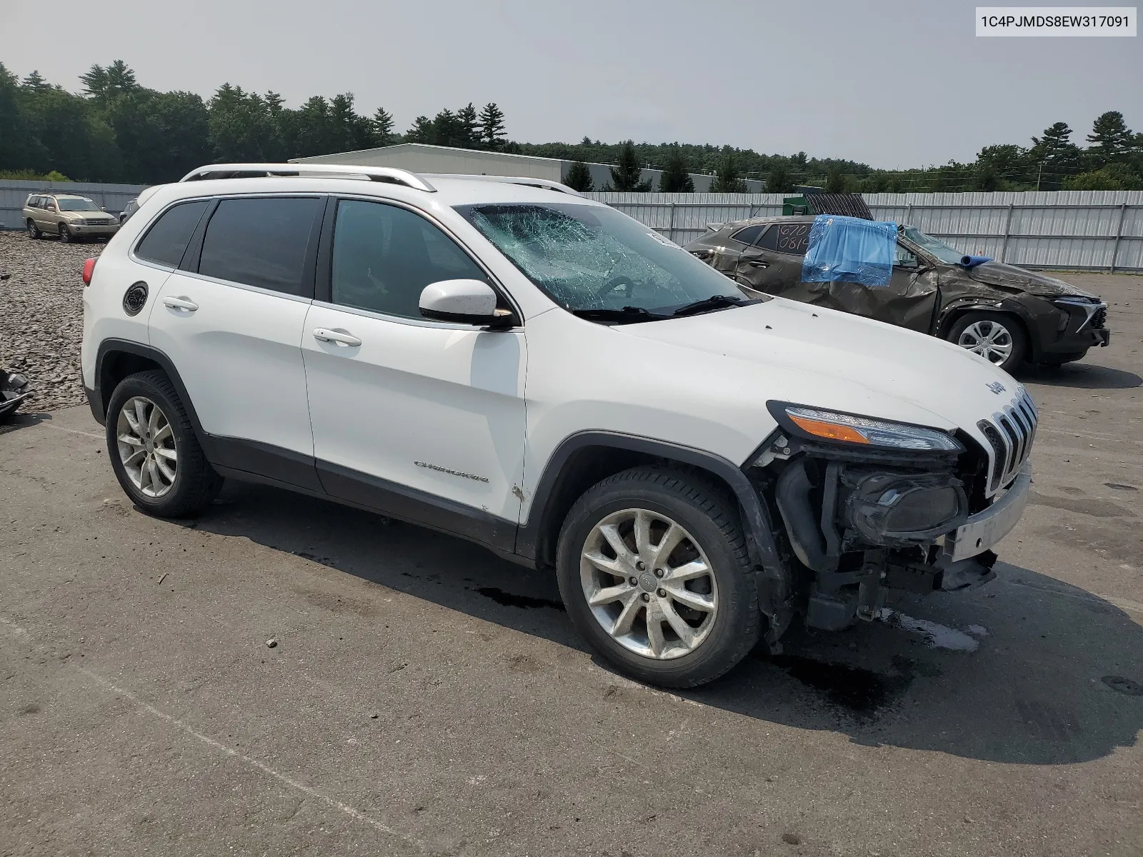 2014 Jeep Cherokee Limited VIN: 1C4PJMDS8EW317091 Lot: 66295374