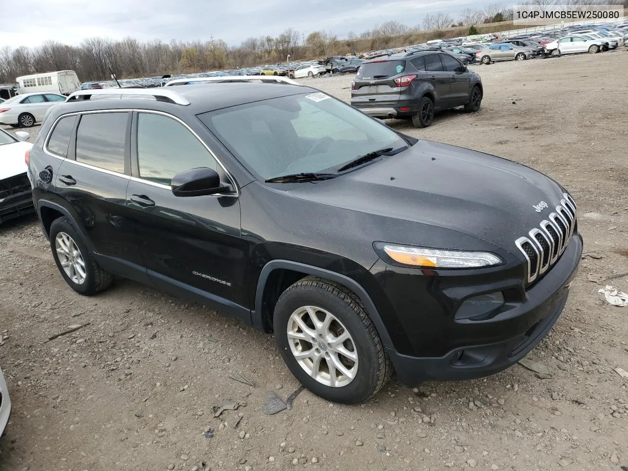 2014 Jeep Cherokee Latitude VIN: 1C4PJMCB5EW250080 Lot: 77103974