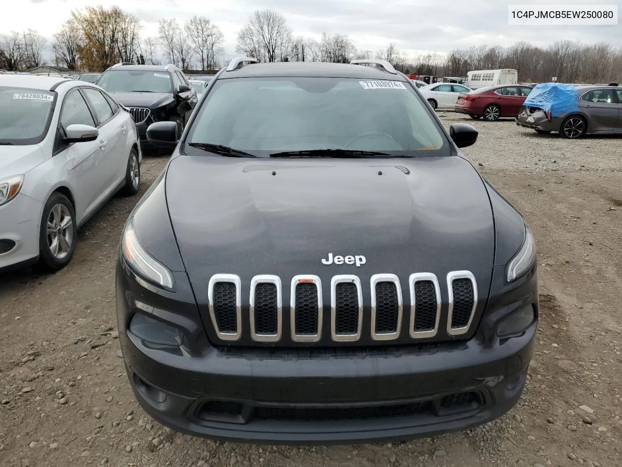 2014 Jeep Cherokee Latitude VIN: 1C4PJMCB5EW250080 Lot: 77103974