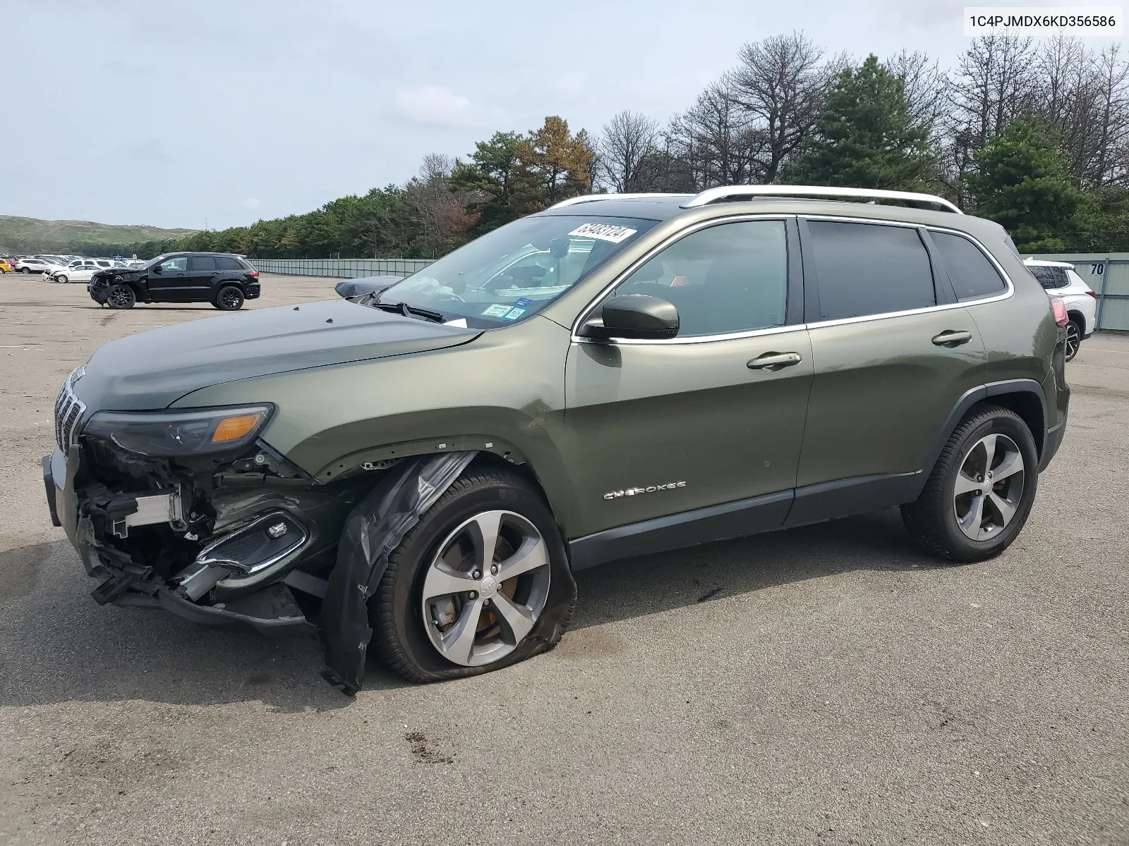 2019 Jeep Cherokee Limited VIN: 1C4PJMDX6KD356586 Lot: 63483124