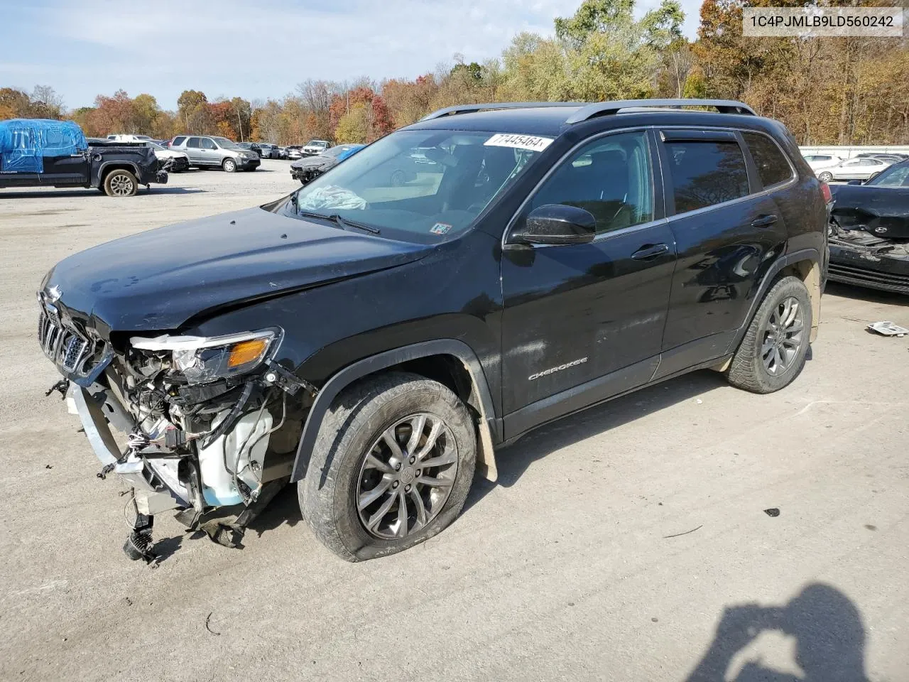 2020 Jeep Cherokee Latitude Plus VIN: 1C4PJMLB9LD560242 Lot: 77445464