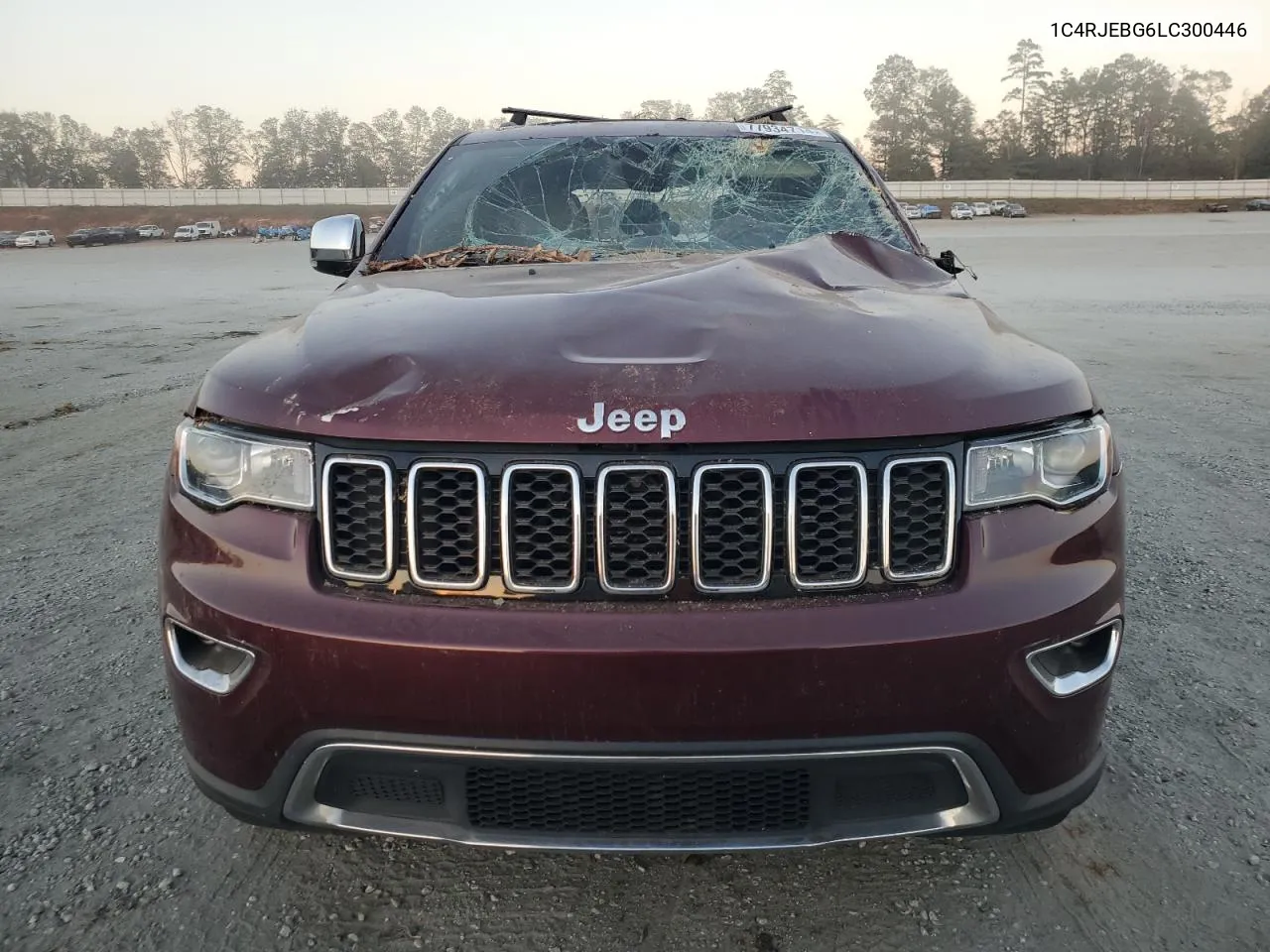 2020 Jeep Grand Cherokee Limited VIN: 1C4RJEBG6LC300446 Lot: 77934714